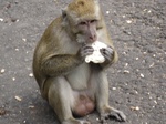14532IMG_4893.JPG