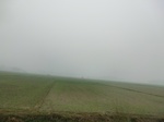 40112CIMG9178.JPG