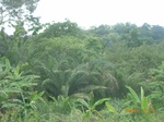 8921nigeria 136.jpg