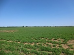 30069CIMG0274.JPG