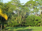 31916IMG_5705.JPG