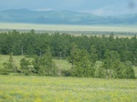 38152P1080077.JPG