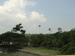 24610DSC00829.JPG
