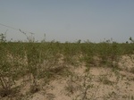 19048P1000893.JPG