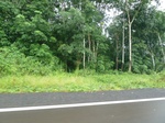 20529P1020386.JPG