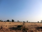 56353CIMG7222.JPG