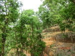 53382CIMG6686.JPG