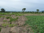 18676P1000514.JPG