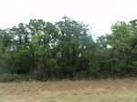 35777DSC02538.JPG