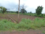 20988P1020857.JPG