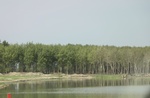 2024-08-05_14-43-42_087EDABB-260F-4D76-BA77-AD5F04794215_1_201_a.jpeg