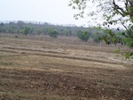 17450100_2138.JPG