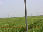39139CIMG5765.gps.jpg