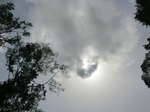 47142CIMG3479.JPG