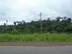 20197P1020051.JPG
