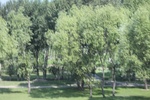 2024-08-05_14-31-46_C38EFB93-3CCC-4E73-8A0B-51E49B4856F1.jpeg