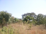 9035RIMG0113.JPG