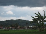 14770IMG_5162.JPG