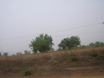 3935RIMG0239.JPG
