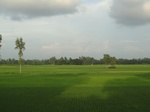 21745DSC00291.JPG