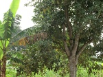 50345CIMG0974.JPG