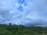 55859CIMG6546.JPG