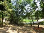 53275CIMG6529.JPG