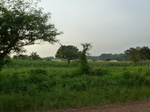 19877P1010727.JPG