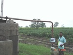 128810247d-irrigated-supplemental-groundwater-sugarcane-dominant-cotton.gif