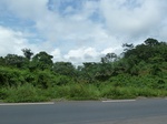 25262P1020105.JPG