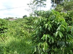 25172P1020012.JPG