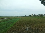 39571CIMG1649.JPG