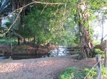 31928IMG_5717.JPG