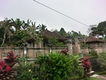 30739CIMG0579.JPG