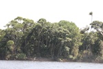 2024-08-05_17-04-29_B0D8D211-EA38-492A-B6F8-C1D43934ED8E.jpeg
