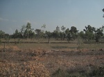 28151IMG_4981.JPG