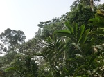 48056CIMG4393.JPG
