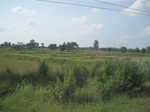34392IMG_5308.JPG