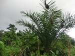 45569CIMG2654.JPG