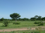 19477P1010324.JPG