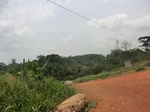 48981CIMG5318.JPG