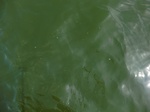 58401CIMG2850.JPG