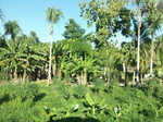 5793100_1395.JPG