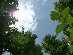 18256P1000092.JPG