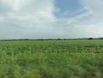 24888DSC01105.JPG