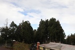 2024-11-21_16-12-49_9BC622A6-FB88-4E6F-A9CC-9C1DE2331BBB.jpeg