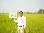 6725gt164-cropland-1.jpg