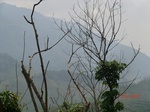 53747CIMG7147.JPG