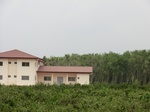 50541CIMG1170.JPG