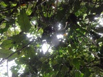 46801DSC02139.JPG